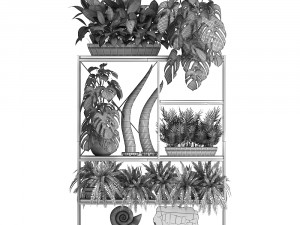 shelf rack with decor and plants Modelo 3D