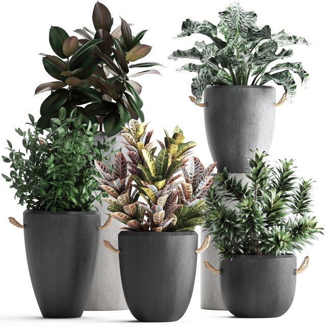 collection of exotic plants 393 3D Model .c4d .max .obj .3ds .fbx .stl .blend 