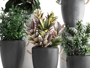 collection of exotic plants 393 3D Model