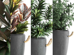 collection of exotic plants 393 3D Model