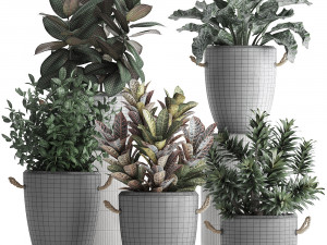 collection of exotic plants 393 3D Model