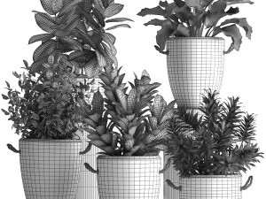collection of exotic plants 393 3D Model