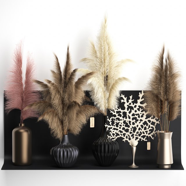dry reed shelf decor collection Model 3D .c4d .max .obj .3ds .fbx .stl .blend 