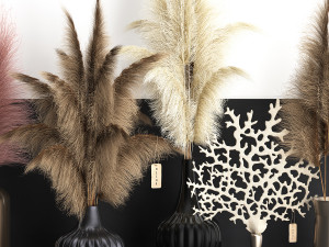 dry reed shelf decor collection Model 3D