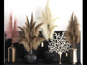 dry reed shelf decor collection 3D Model