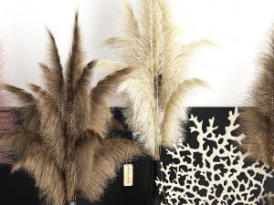 dry reed shelf decor collection Model 3D