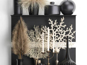 декоративна полиця з коралами та очеретом 3D Модель