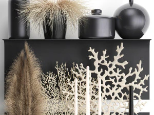 decorative shelf with coral and reeds 3D Model