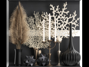 decorative shelf with coral and reeds Modèle 3D