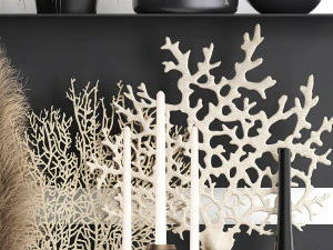 decorative shelf with coral and reeds 3D Model