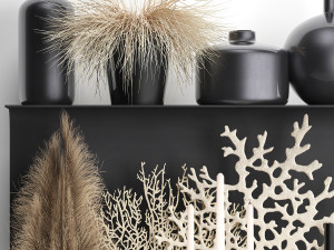 decorative shelf with coral and reeds Modèle 3D