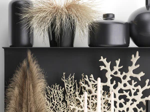 decorative shelf with coral and reeds 3D Model