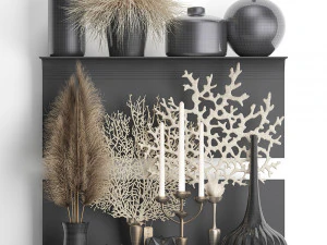 decorative shelf with coral and reeds 3D Model