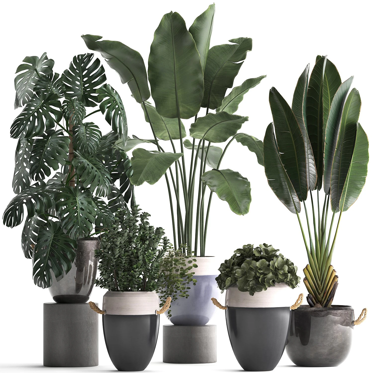 collection of exotic plants 394 3D Model .c4d .max .obj .3ds .fbx .stl .blend 