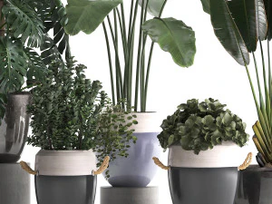collection of exotic plants 394 3D Model