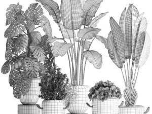 collection of exotic plants 394 3D Model