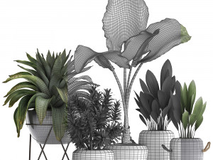 collection of exotic plants 395 3Dモデル