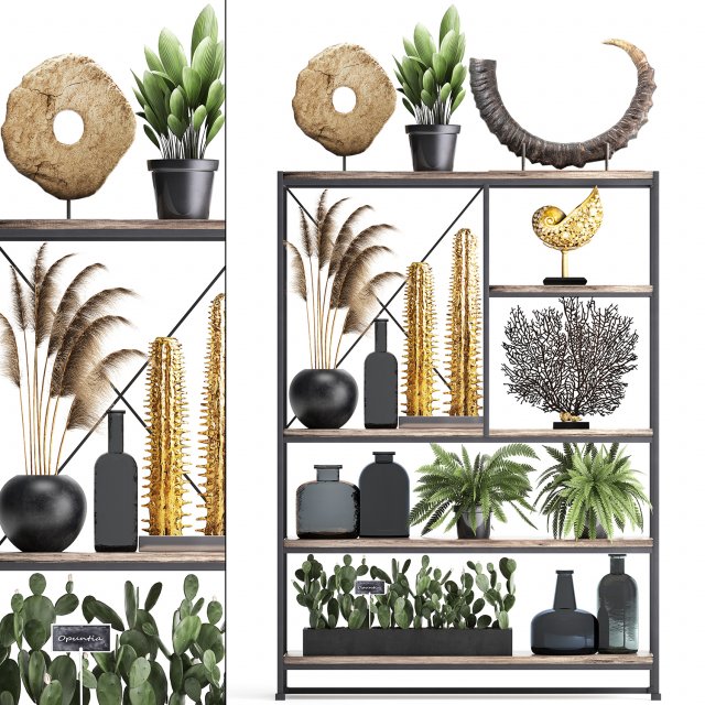 shelf rack with decor and plants 10 3D Model .c4d .max .obj .3ds .fbx .stl .blend 