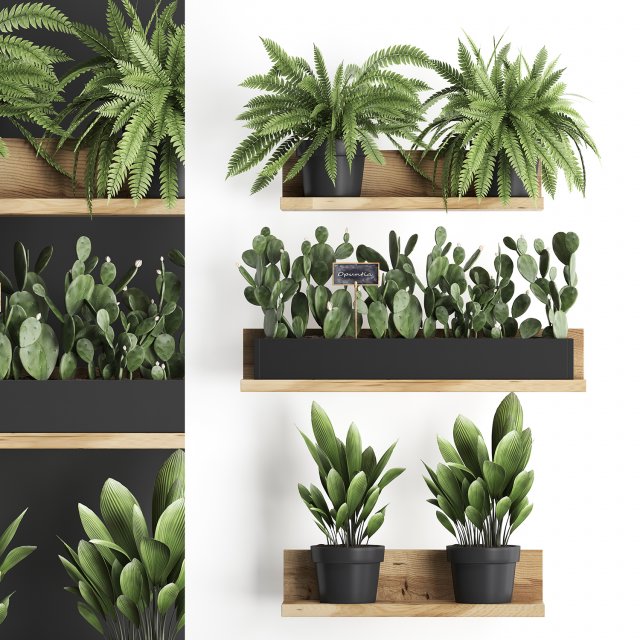 plant set wall decor vertical garden 398 3D Model .c4d .max .obj .3ds .fbx .stl .blend 