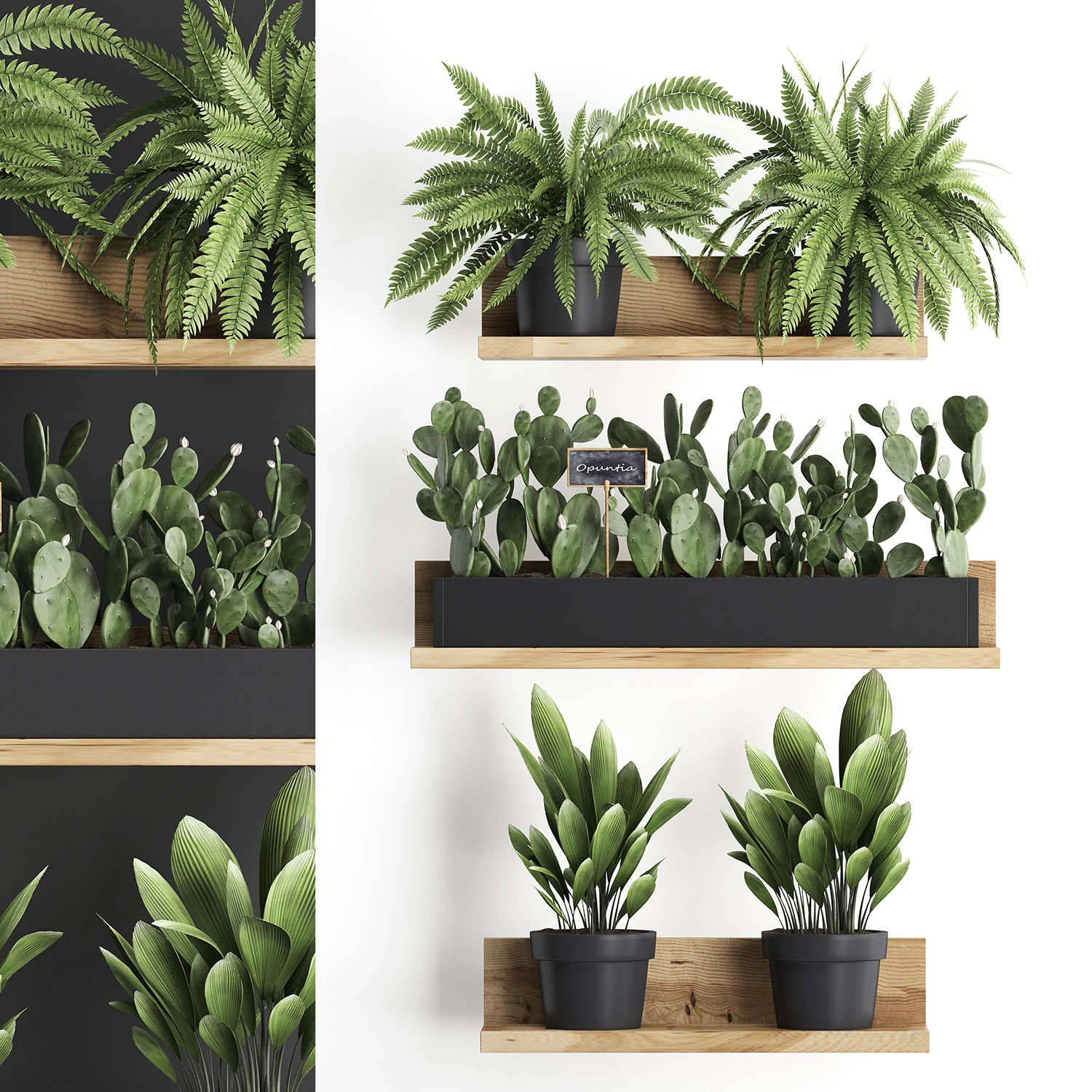 plant set wall decor vertical garden 398 3D Model .c4d .max .obj .3ds .fbx .stl .blend 