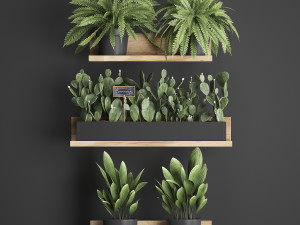 plant set wall decor vertical garden 398 3D Model