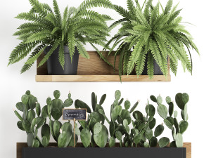 plant set wall decor vertical garden 398 3D Model