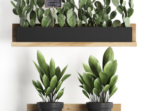 plant set wall decor vertical garden 398 3D Model