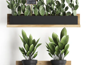 plant set wall decor vertical garden 398 3D Model