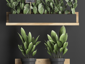 plant set wall decor vertical garden 398 3D Model