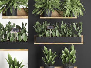 plant set wall decor vertical garden 398 3D Model