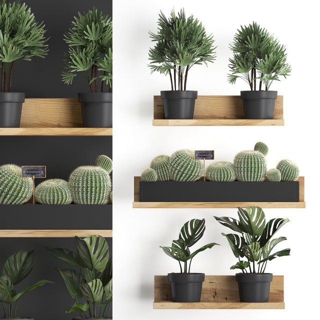 plant set wall decor vertical garden 51 3D 모델 .c4d .max .obj .3ds .fbx .stl .blend 