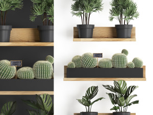 plant set wall decor vertical garden 51 Modelo 3D