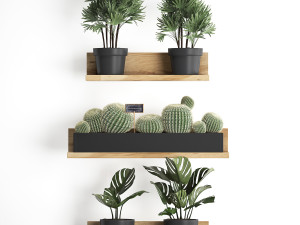 plant set wall decor vertical garden 51 3D 모델