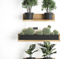 plant set wall decor vertical garden 51 3D Model