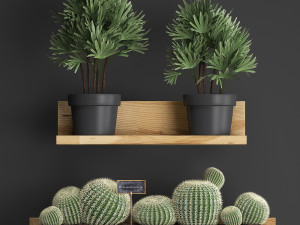 plant set wall decor vertical garden 51 3D 모델