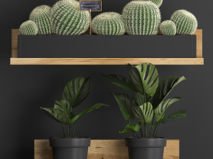 plant set wall decor vertical garden 51 3D 모델