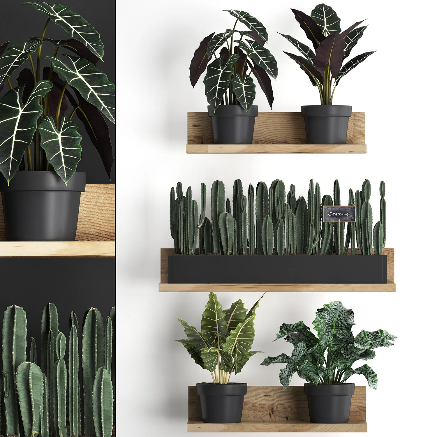 plant set wall decor vertical garden 399 3D Model .c4d .max .obj .3ds .fbx .stl .blend 
