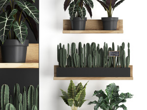 plant set wall decor vertical garden 399 Modelo 3D
