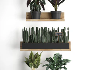 plant set wall decor vertical garden 399 3D Model