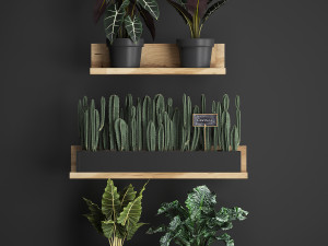 plant set wall decor vertical garden 399 Model 3D