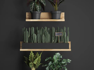 plant set wall decor vertical garden 399 3D Model