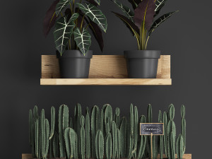 plant set wall decor vertical garden 399 Model 3D