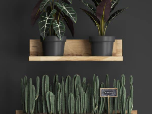 plant set wall decor vertical garden 399 3D Model