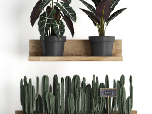 plant set wall decor vertical garden 399 Model 3D