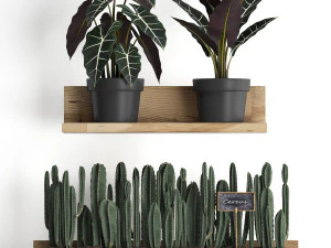 plant set wall decor vertical garden 399 3D Model