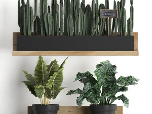 plant set wall decor vertical garden 399 3D Model