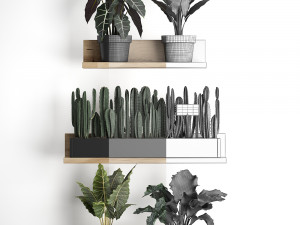 plant set wall decor vertical garden 399 Model 3D