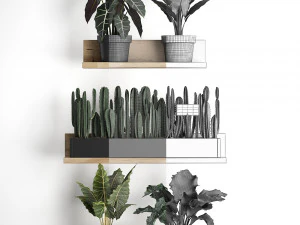 plant set wall decor vertical garden 399 3D Model