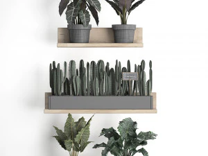 plant set wall decor vertical garden 399 3D Model