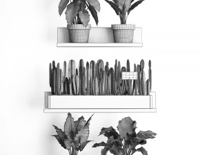 plant set wall decor vertical garden 399 3D Model